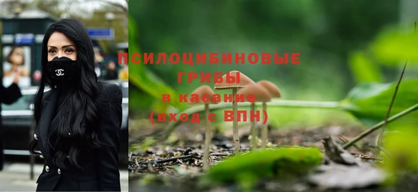 СК Абдулино