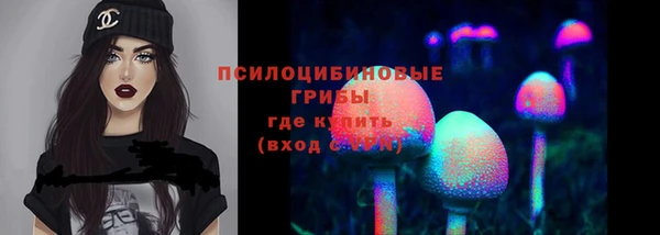 СК Абдулино