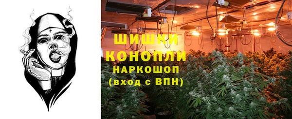 амф Абаза