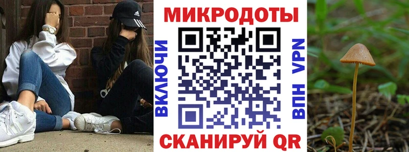 Галлюциногенные грибы Cubensis  купить   Остров 